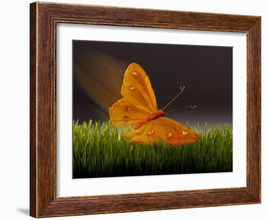 Surreal Butterfly-William Scott-Framed Art Print