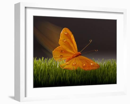 Surreal Butterfly-William Scott-Framed Art Print