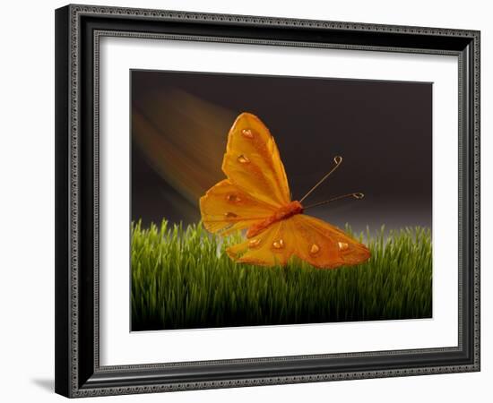 Surreal Butterfly-William Scott-Framed Art Print