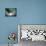 Surreal Sleep-Jess Rigley-Mounted Photographic Print displayed on a wall