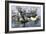 Surrender of the Confederate Ironclad, Tennessee, Battle of Mobile Bay, c.1864-null-Framed Giclee Print