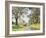 Surrey Landscape-Edmund George Warren-Framed Giclee Print