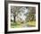 Surrey Landscape-Edmund George Warren-Framed Giclee Print