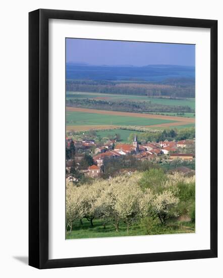 Surrounded by Mirabelle Plum Trees in Blossom, Sion Region, Lorraine, France-Bruno Barbier-Framed Photographic Print