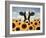 Surrounded by Sunflowers-Lowell Herrero-Framed Art Print