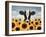 Surrounded by Sunflowers-Lowell Herrero-Framed Art Print