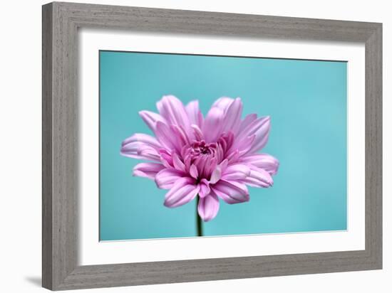 Surrounded in Blue-Gail Peck-Framed Photographic Print