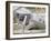 Surveillance Camera, Computer Artwork-Laguna Design-Framed Photographic Print