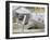 Surveillance Camera, Computer Artwork-Laguna Design-Framed Photographic Print