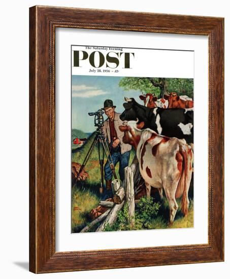 "Surveying the Cow Pasture" Saturday Evening Post Cover, July 28, 1956-Amos Sewell-Framed Giclee Print