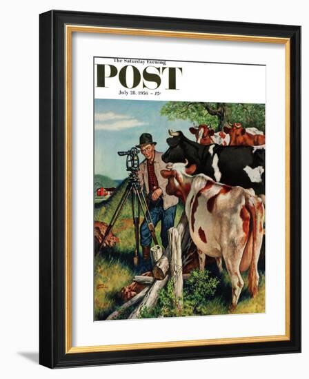 "Surveying the Cow Pasture" Saturday Evening Post Cover, July 28, 1956-Amos Sewell-Framed Giclee Print