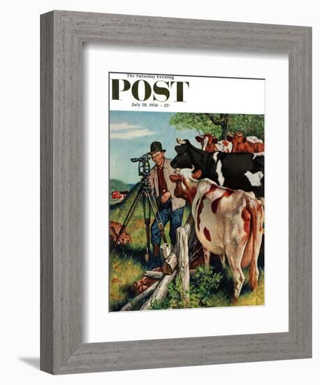 "Surveying the Cow Pasture" Saturday Evening Post Cover, July 28, 1956-Amos Sewell-Framed Giclee Print