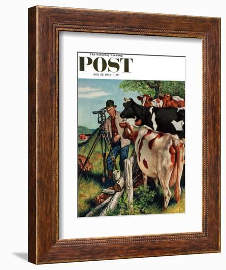 "Surveying the Cow Pasture" Saturday Evening Post Cover, July 28, 1956-Amos Sewell-Framed Giclee Print