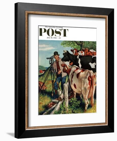 "Surveying the Cow Pasture" Saturday Evening Post Cover, July 28, 1956-Amos Sewell-Framed Giclee Print