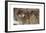 Survivor-Kalon Baughan-Framed Giclee Print