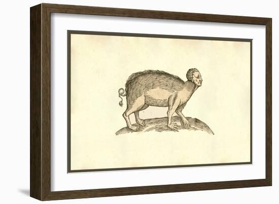 Sus Capite & Pedibus Humanis-Ulisse Aldrovandi-Framed Art Print