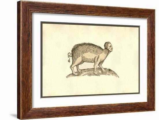 Sus Capite & Pedibus Humanis-Ulisse Aldrovandi-Framed Art Print