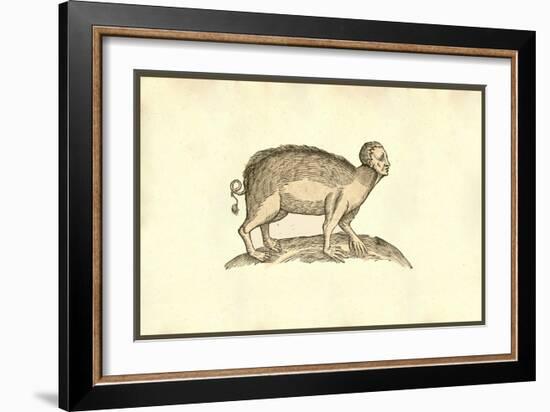 Sus Capite & Pedibus Humanis-Ulisse Aldrovandi-Framed Art Print