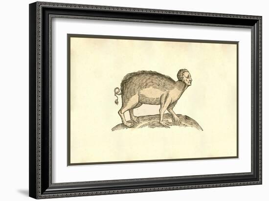 Sus Capite & Pedibus Humanis-Ulisse Aldrovandi-Framed Art Print