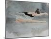 Giclee Print