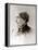 Susan B. Anthony, American Women's Rights Pioneer in 1870s-null-Framed Stretched Canvas