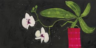 Orchid Chorus-Susan Brown-Giclee Print