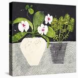 Orchid Mosaic II-Susan Brown-Giclee Print