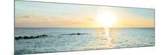 Premium Photographic Print