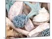 Premium Photographic Print