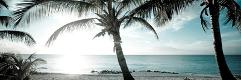 Premium Photographic Print