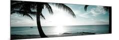Premium Photographic Print