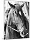 Premium Photographic Print