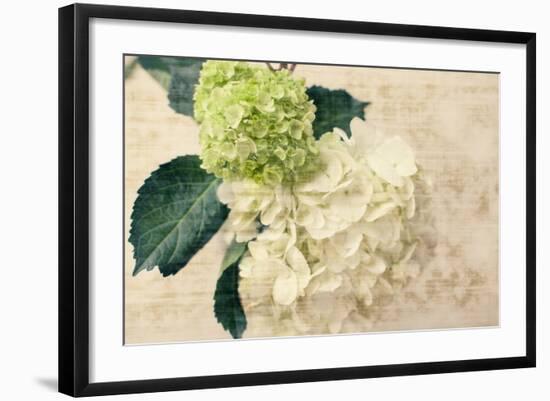 Photo, , large