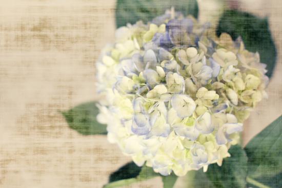 Photo, , large
