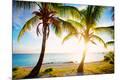Photographic Print