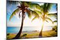 Photographic Print