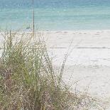 Beach Scene IV-Susan Bryant-Photo