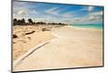 Photographic Print