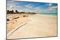 Photographic Print