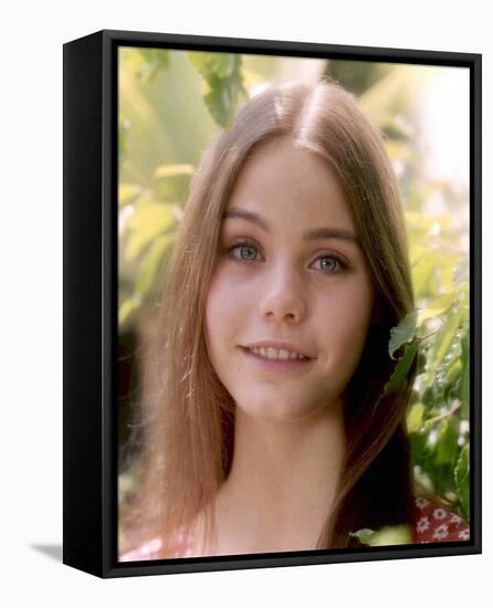 Susan Dey-null-Framed Stretched Canvas