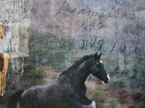 Equine Double Take III-Susan Friedman-Art Print