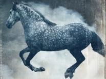 Equine Double Take II-Susan Friedman-Art Print