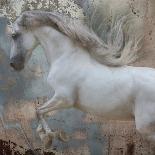 Horse Exposures III-Susan Friedman-Art Print
