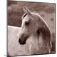Premium Photographic Print