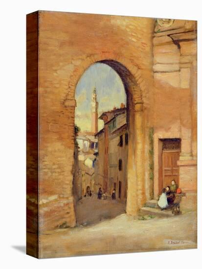 Stretched Canvas Print, , large