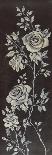 Ivory Roses II-Susan Jeschke-Giclee Print