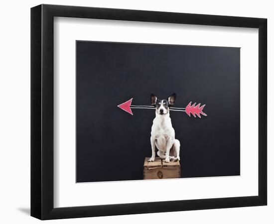 Photographic Print, , large