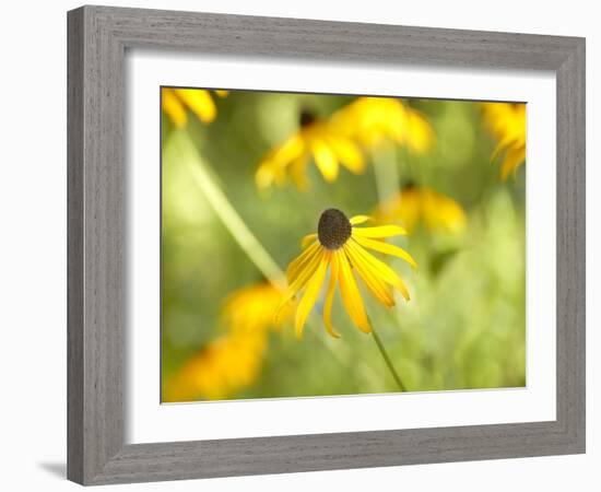 Susan Study I-James McLoughlin-Framed Photographic Print