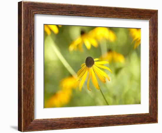 Susan Study I-James McLoughlin-Framed Photographic Print