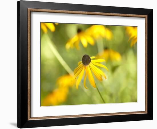 Susan Study I-James McLoughlin-Framed Photographic Print